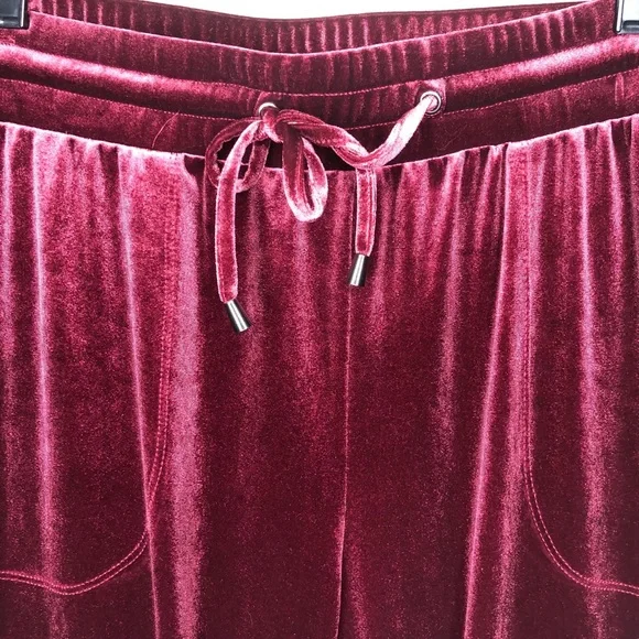 NEW Torrid Velvet Ankle Pants 2X Zinfandel Elastic Waist Lounge NEW WITH TAGS - Picture 4 of 9